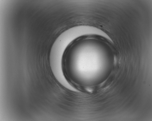 X0000067400287200604071828