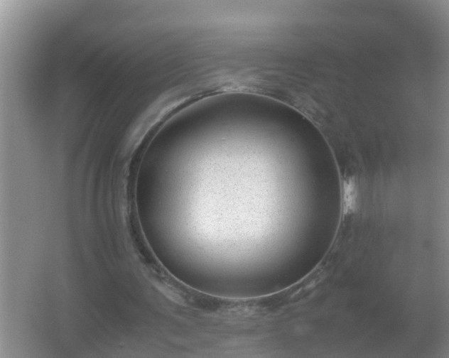 X0000067400291200604071827
