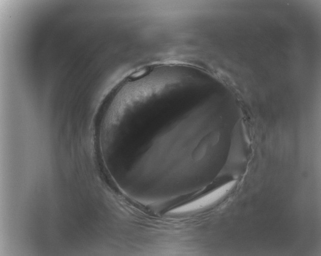 X0000067400295200604071827