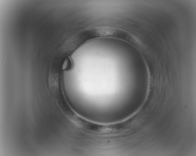 X0000067400315200604071827