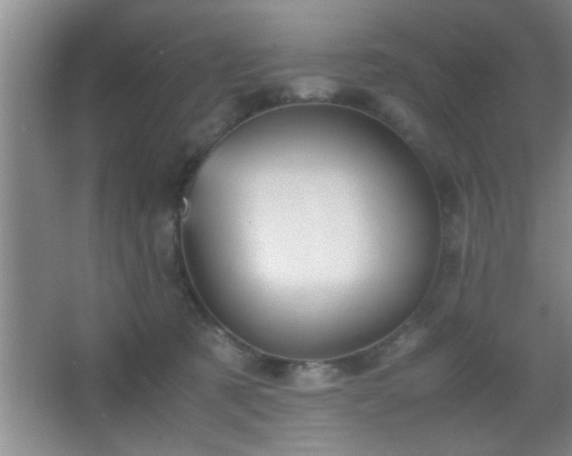 X0000067400321200604071827