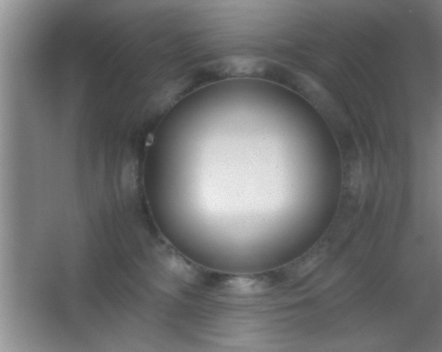 X0000067400326200604071827