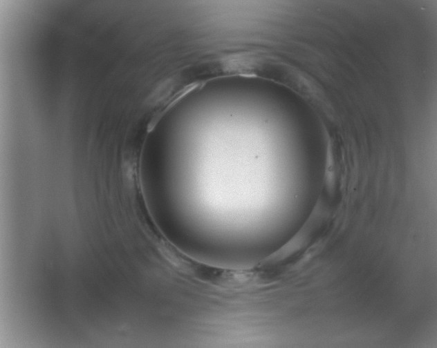 X0000067400329200604071827