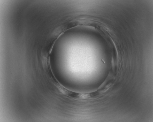 X0000067400333200604071827