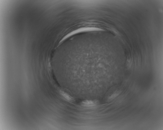 X0000067400381200604071827