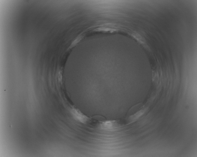 X0000067400382200604071827