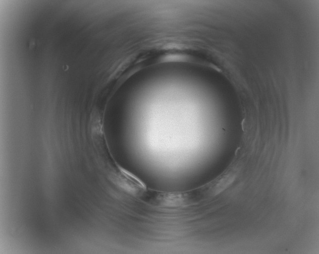 X0000067400384200604071827
