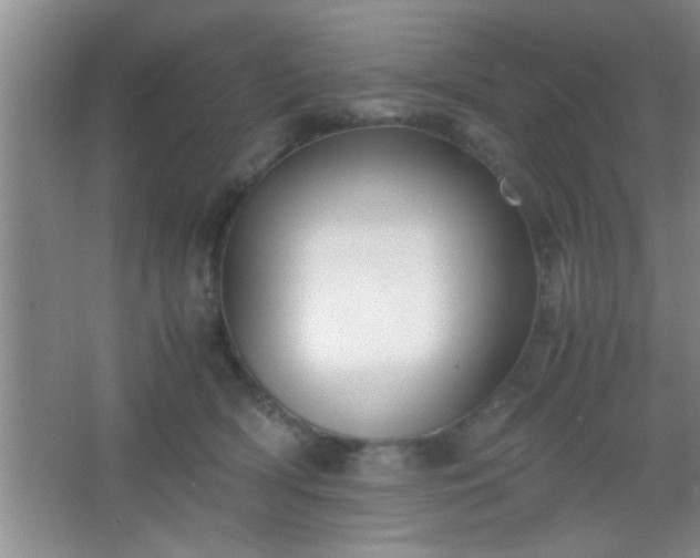 X0000067400418200604071825