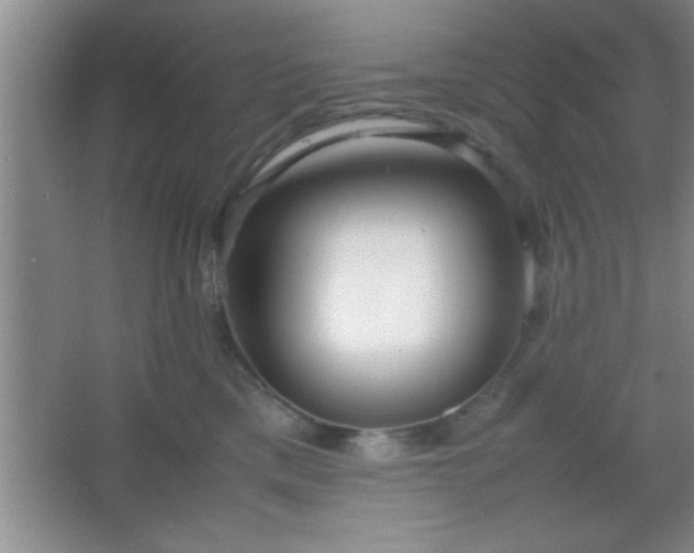 X0000067400425200604071825