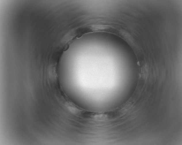 X0000067400426200604071825