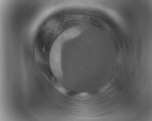 X0000067400431200604071825