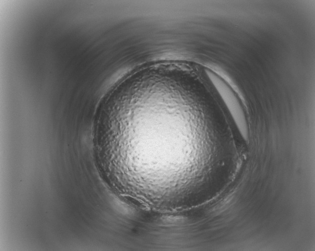 X0000067400437200604071824