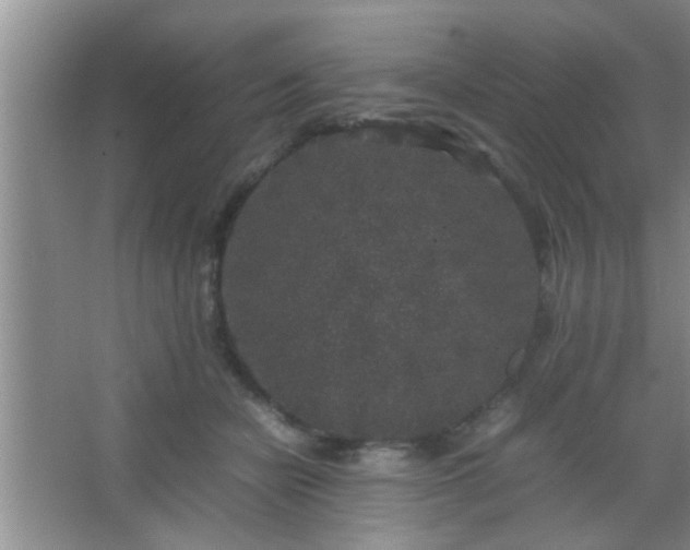 X0000067400462200604071825