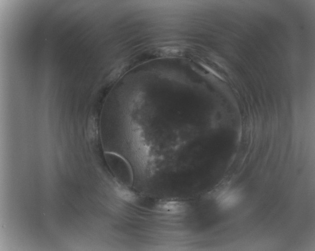X0000067400467200604071825