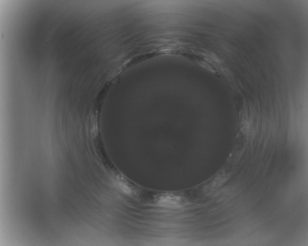 X0000067400471200604071825