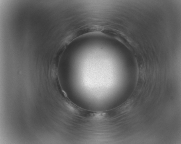X0000067400474200604071825