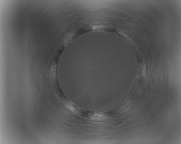 X0000067400475200604071825