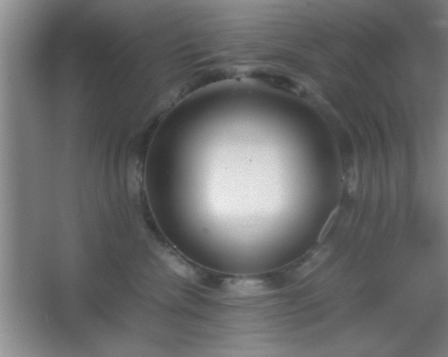 X0000067400476200604071825