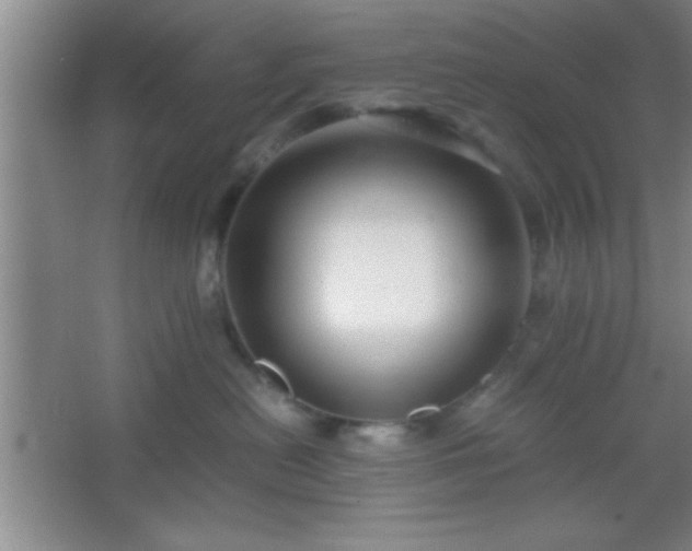 X0000067400478200604071825