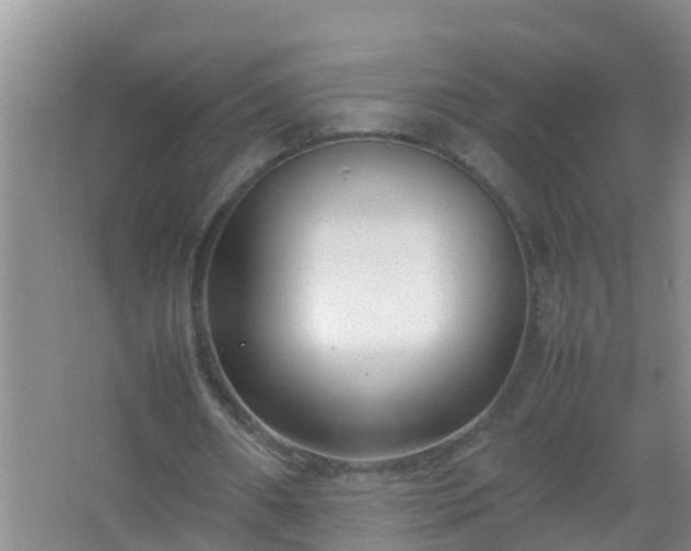 X0000067400482200604071824