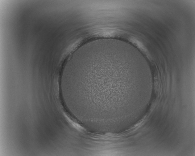 X0000067400493200604071824
