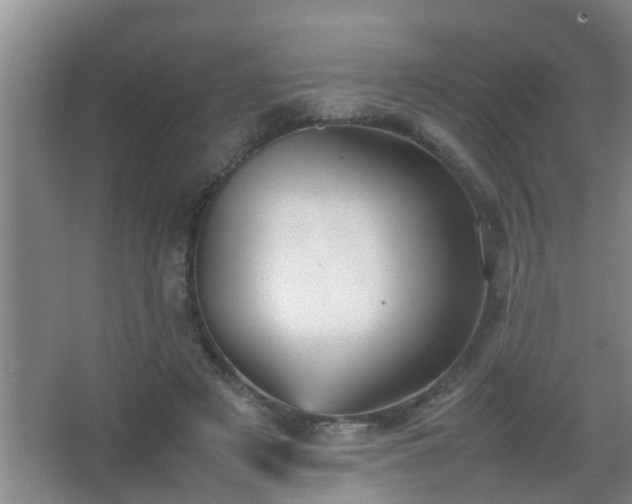 X0000067400497200604071824