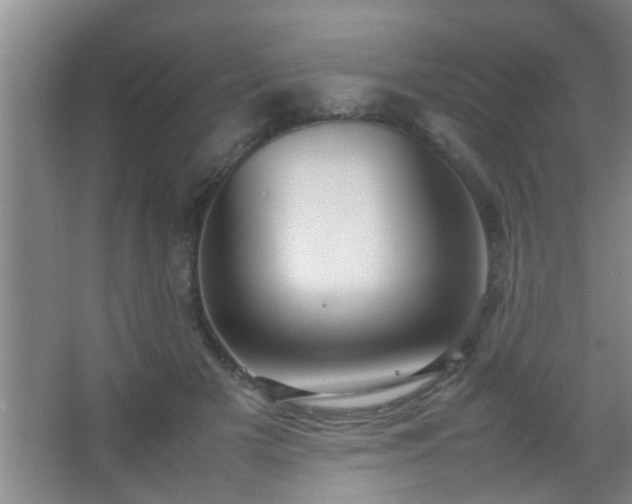 X0000067400505200604071824