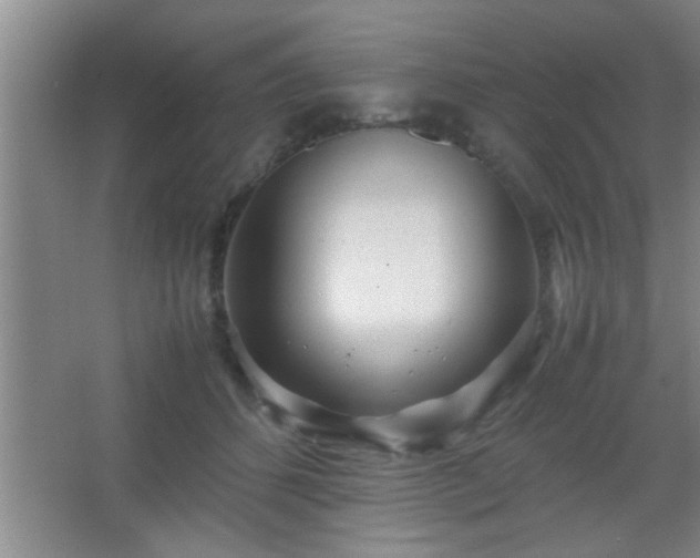 X0000067400512200604071824