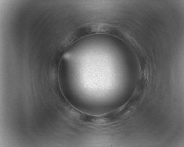 X0000067400513200604071824