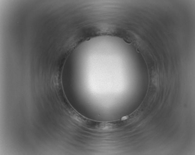 X0000067400514200604071824