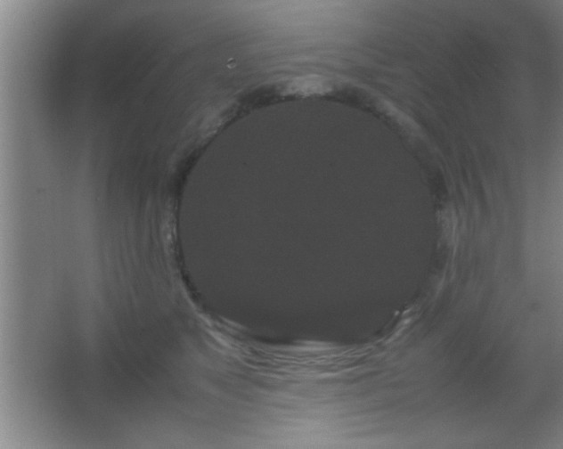 X0000067400517200604071824