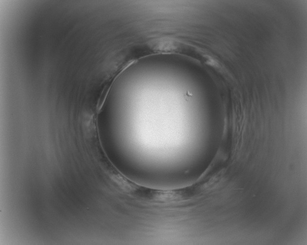 X0000067400521200604071823