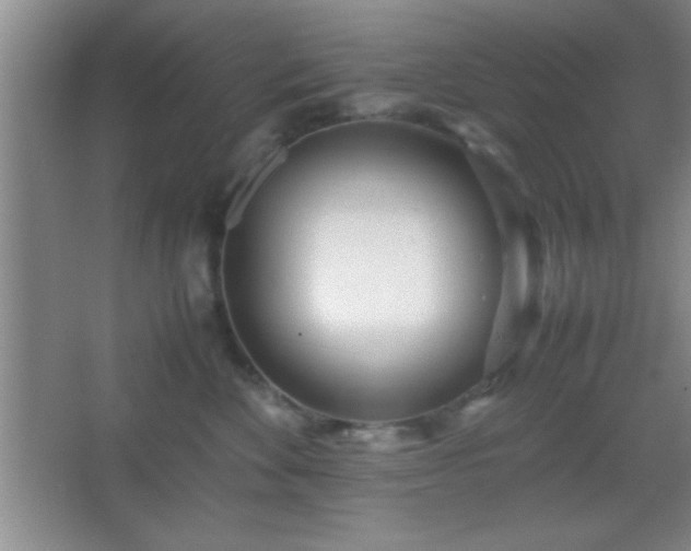 X0000067400524200604071823