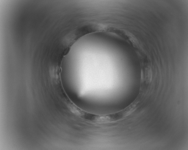 X0000067400525200604071823
