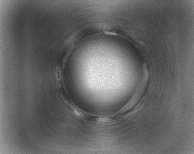 X0000067400528200604071823