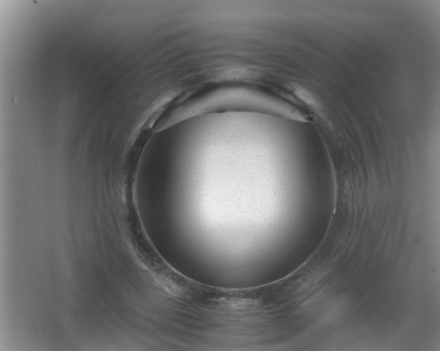 X0000067400539200604071823