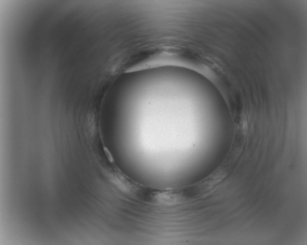 X0000067400568200604071823
