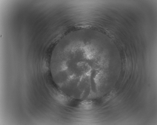 X0000067400606200604071822