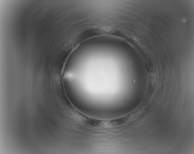 X0000067400613200604071822