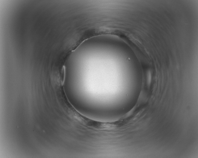 X0000067400617200604071822