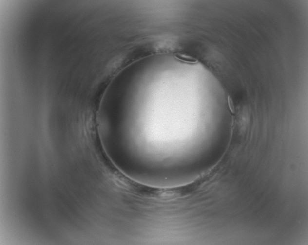 X0000067400619200604071822