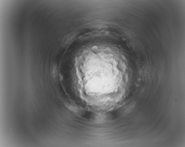 X0000067400623200604071822