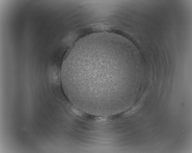 X0000067400624200604071822