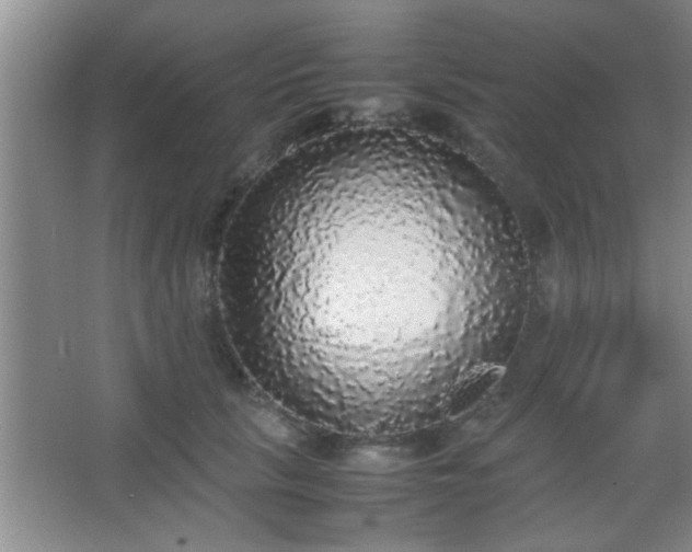 X0000067400657200604071821