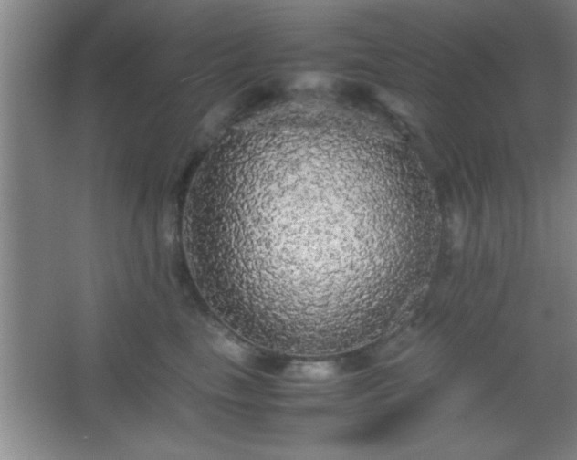 X0000067400665200604071822