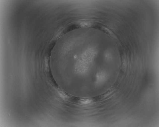 X0000067400667200604071822