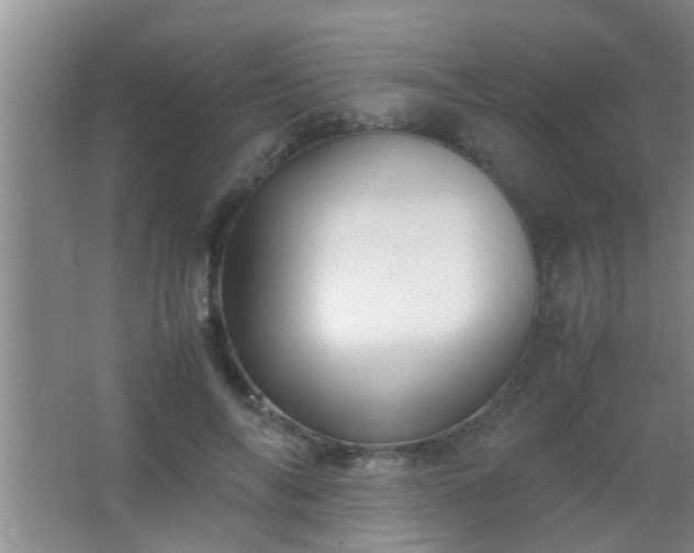 X0000067400694200604071821