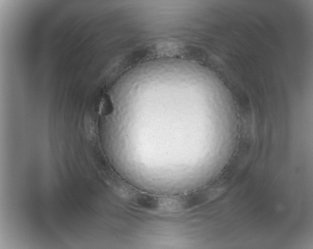 X0000067400705200604071820