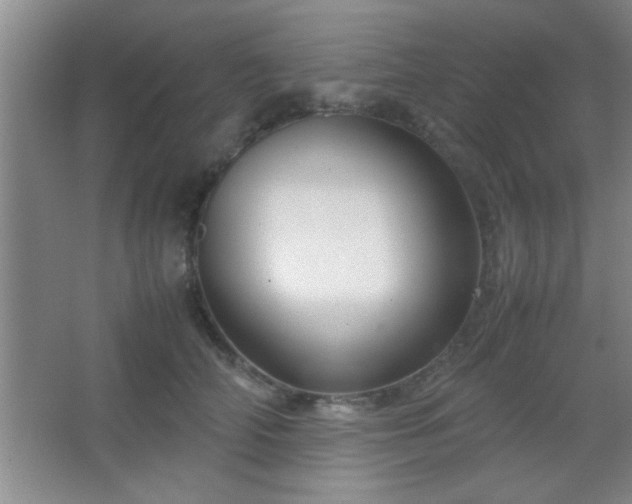 X0000067400706200604071820