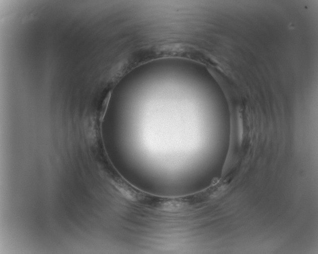 X0000067400708200604071820